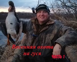 Охота на гуся. Попали на массовый пролет гуся. Spring goose hunting, mass passage. ч.1