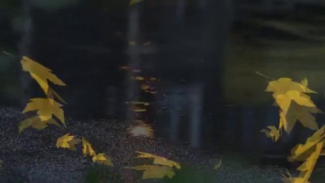 "Целую осень" Текст, видео, исполнение Нины Орловой смотреть онлайн