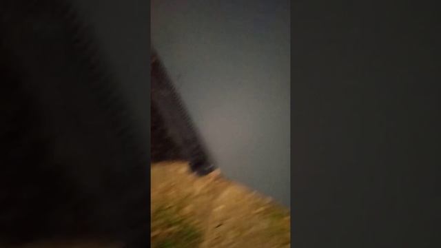 теггинг маркером молотов , красска arton puchok teggi graffiti смотреть онлайн