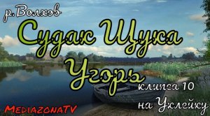 Русская Рыбалка 4 Где Клюет ? р.Волхов Судак Щука Угорь 22.10
