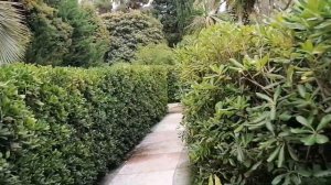 Санаторий "Южное Взморье". Часть  ll. Сочи. Ноябрь 2020г