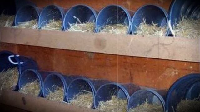 Гнездо для индюшки своими руками, правильные размеры