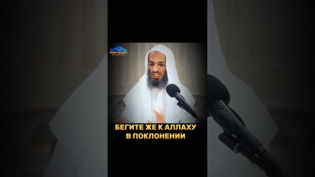 БЕГИТЕ ЖЕ К АЛЛАХУ в поклонении- Шейх Халид Исмаил смотреть онлайн