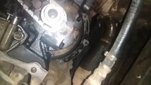 Кобилт метка  /kobilt metka sep