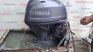 Yamaha F40 EFI 2017 год. Запуск двигателя