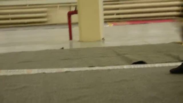 10.10.10 АмСтаффы, Сука Промежуточный класс смотреть онлайн