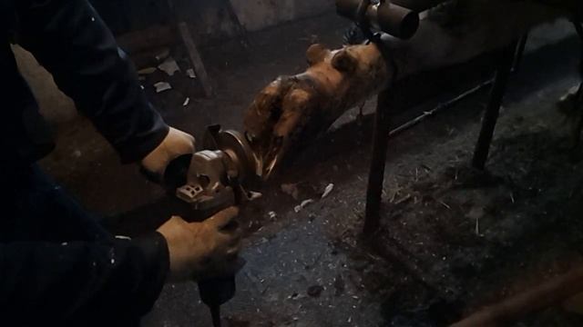 Супер видео.Замедленная съемка обрезки копыта (копыца) коровы смотреть онлайн