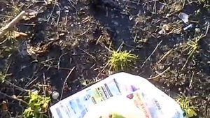 Гимн картошке (Ах, картошка, объеденье) пионерская