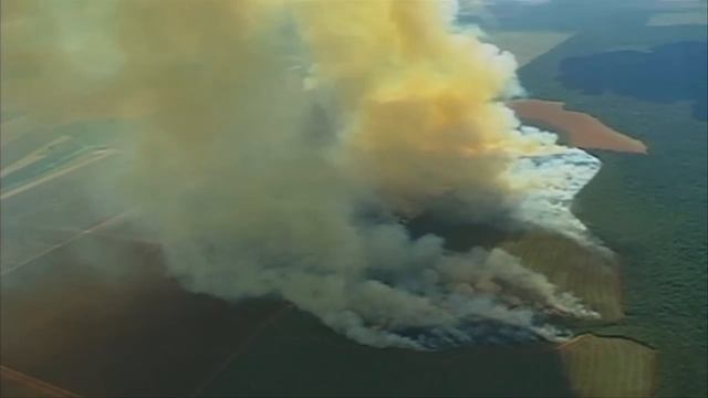 Why is factory farming such a big deal? смотреть онлайн