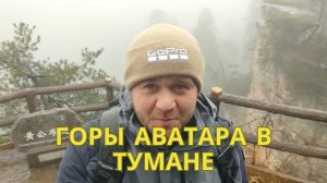 Горы Аватара (Чжанцзяцзе) в плохую погоду: канатная дорога, туман, обезьяны, самый высокий лифт