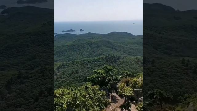 Фотоотзыв о проекте «Женьшень, дающий силы»