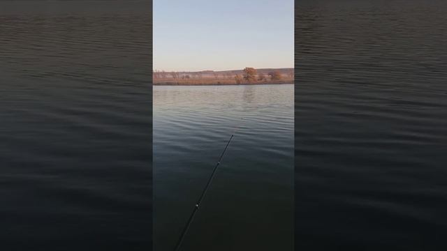 Карповый кораблик SHAMAN 2 продолжаем усовершенствовать. смотреть онлайн