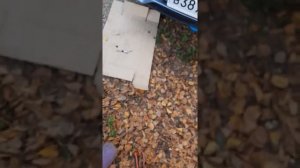 замена радиатор на деу жентра