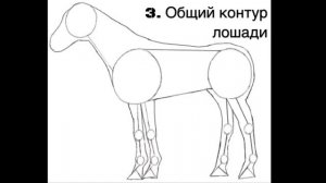 Как нарисовать лошадь. Урок рисования поэтапно.