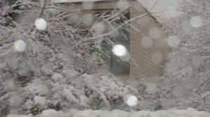 Торба на Круче "Друг"