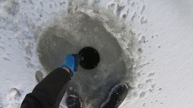 Я В ШОКЕ! НЕ УСПЕЛ УСТАНОВИТЬ ХАПУГУ И СРАЗУ ПОЙМАЛ РЫБИНУ.УДАЧНАЯ РЫБАЛКА НА ХАПУГИ ПО ПЕРВОМУ ЛЬД смотреть онлайн