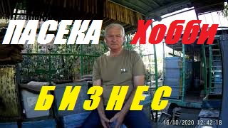 Продать пчел и пасеку.Состояние пчелосемей с ганемановской решёткой и без неё.