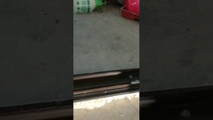 Окно  PS-портал Фирма «Синди», фурнитура G-U поставщик Аркадий Славин СПб профиль Rehau