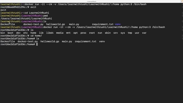 Docker Volume + Python,Golang | Fun with Docker | Part - 2 | English смотреть онлайн