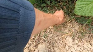 Результат дії системного гербіциду Міура по малині. Як виглядає пирій після внесення гербіциду.