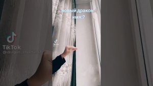 Тик ток /драконы из бумаги/1 часть