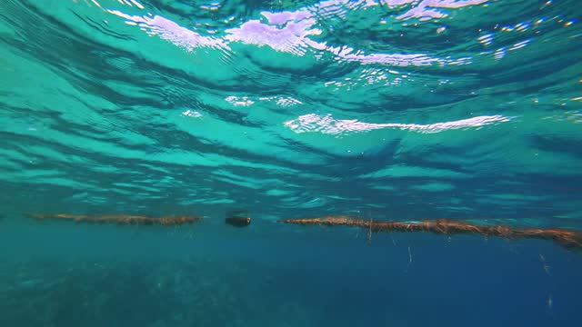 Поход в бухту. День 1 (подводная съёмка) | Hike to the bay. Day 1 (underwater shooting)