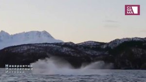 Невероятно интересные истории  12/03/2024