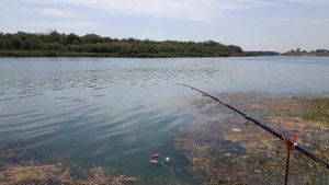 Рыбалка на Сырдарье активный отдых