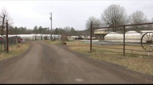 Winter storm leaves East Texas plant nursery owners counting their losses