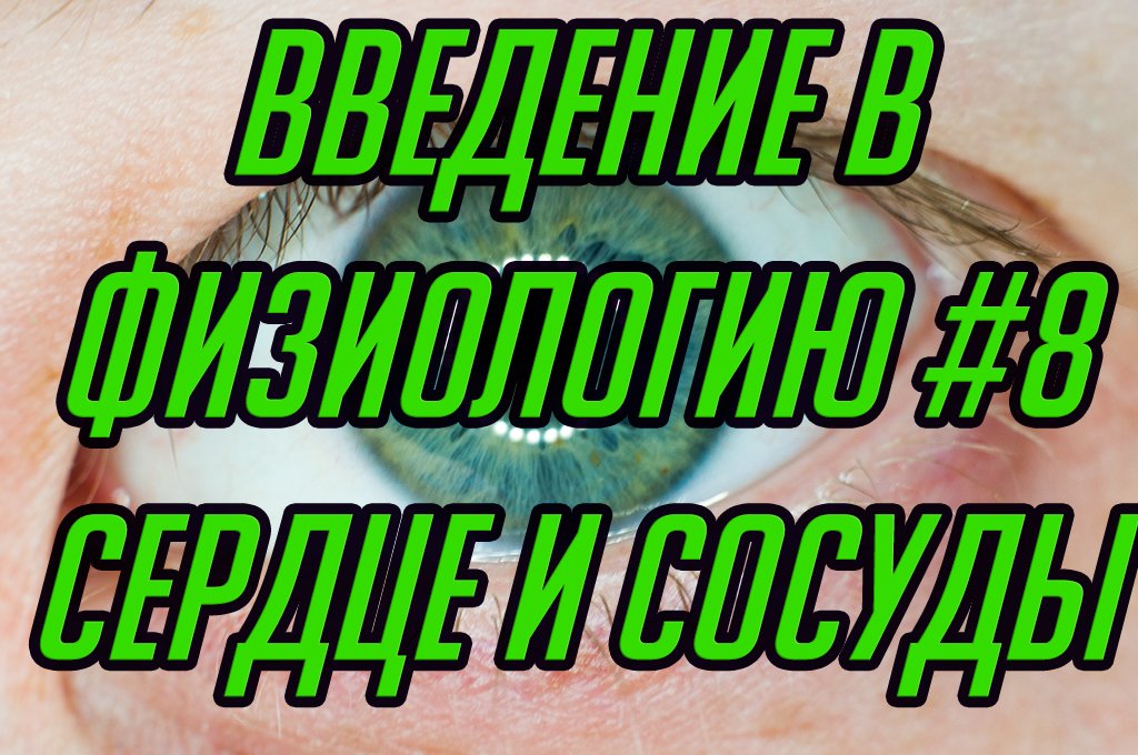 Основы физиологии #8. Сердечно-сосудистая система