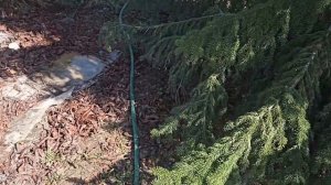 Заокский район абиссинская скважина на глине. Выкручиваемся как можем)))