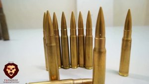 ММГ Патронов 7,92 × 57 мм Mauser (Видео-Обзор)