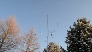 Продолжаем зимовать.Вода замерзает. Как поить голубей?