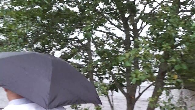 Сбор пресной воды в озере Лох Несс смотреть онлайн