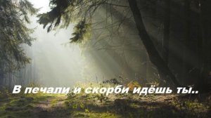 В печали и скорби идёшь ты..