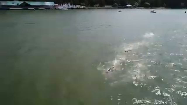 Первенство России по плаванию на открытой воде 2019. День 2 смотреть онлайн