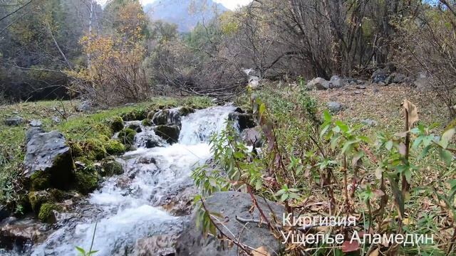 Реки 2020. Звуки природы, шум рек. Киргизия. смотреть онлайн
