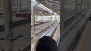 Бэйдайхэ, Китай 2024 / АНО КЦ «Наш Мир»