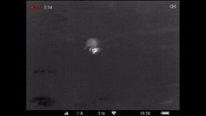 Охота на кабана ночью в засаде