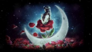 The Little Prince: The Rose background video loop footage