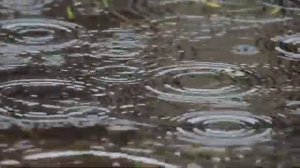 Притча "Вызыватель дождя"