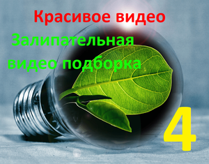 Красивое видео / Залипательная видео подборка #4
