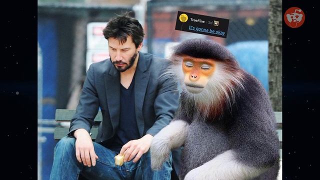 Best photoshop Battles Compilation - Reddify (r/photoshopbattles) смотреть онлайн