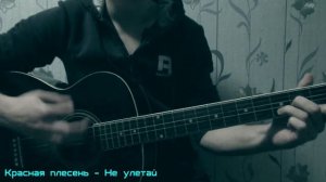 Красная плесень - Не улетай ( Acoustic cover МишкаМой)