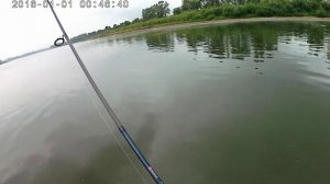 Отличная ловля окуня на Томи ниже лягушки  часть 2  08 2019