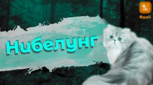 Порода кошек Нибелунг