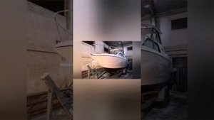Байлайнер 242