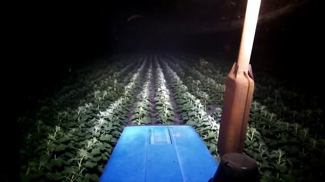 Карбамид + Бор. Результаты. Подсолнечник. смотреть онлайн