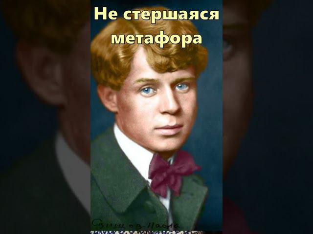 Объясняю за 30 секунд: Метафоры. #shorts #огэ #егэ смотреть онлайн