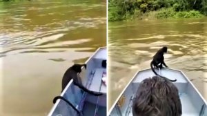 Рыбаки спасли обезьяну из Амазонки и доставили её на берег!